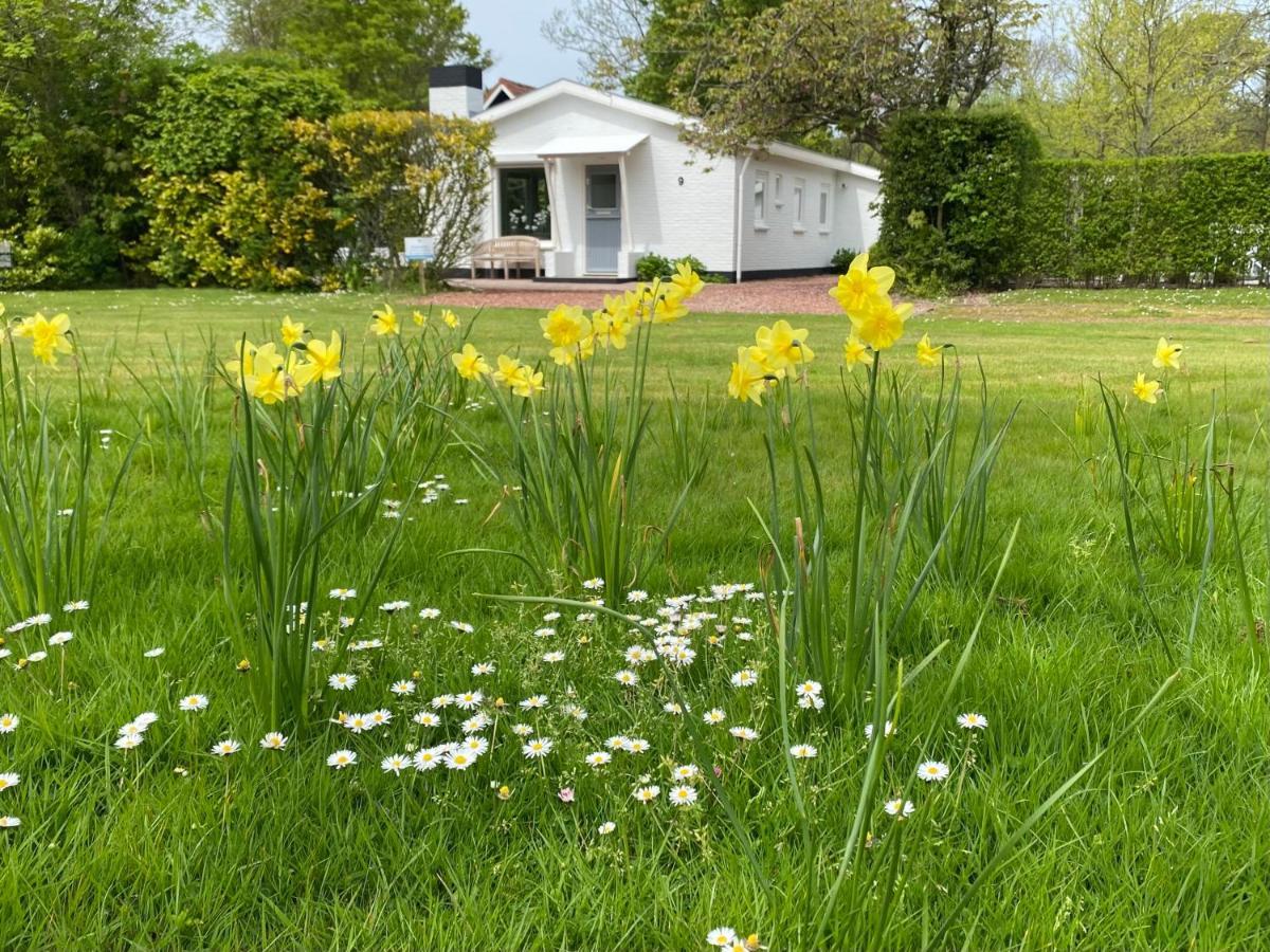 Holiday Park Dennenbos Oostkapelle Dış mekan fotoğraf