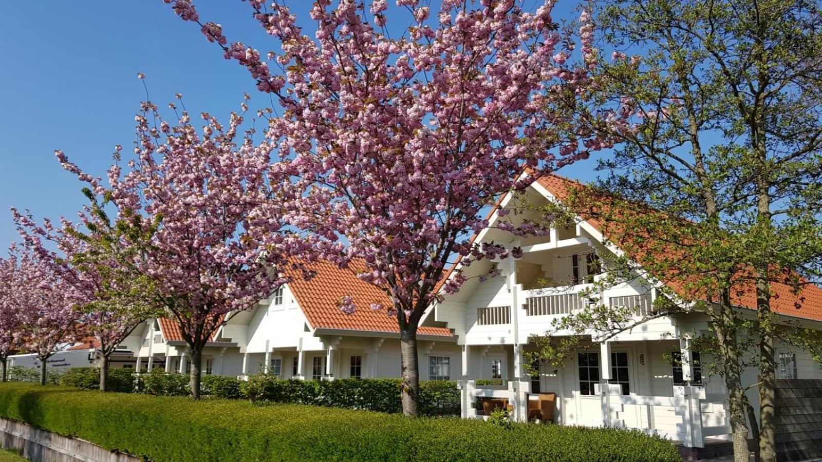 Holiday Park Dennenbos Oostkapelle Dış mekan fotoğraf