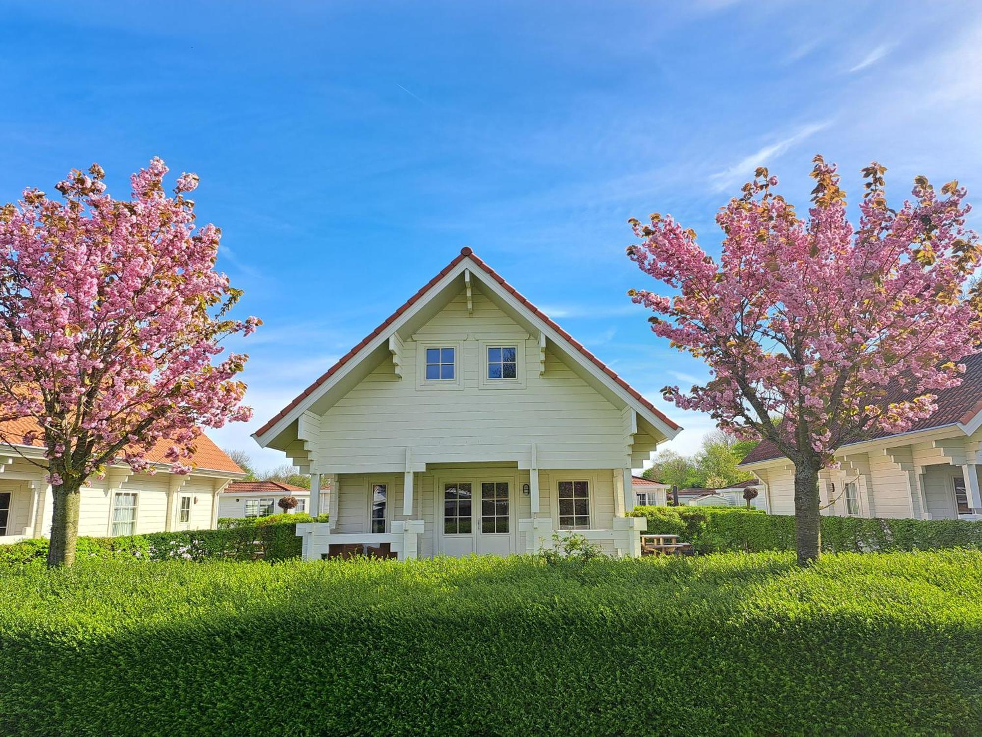 Holiday Park Dennenbos Oostkapelle Dış mekan fotoğraf
