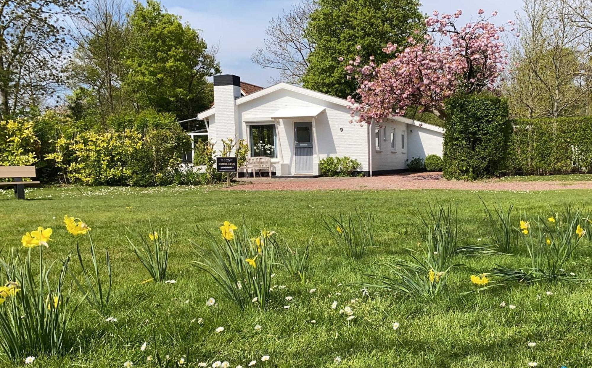 Holiday Park Dennenbos Oostkapelle Dış mekan fotoğraf
