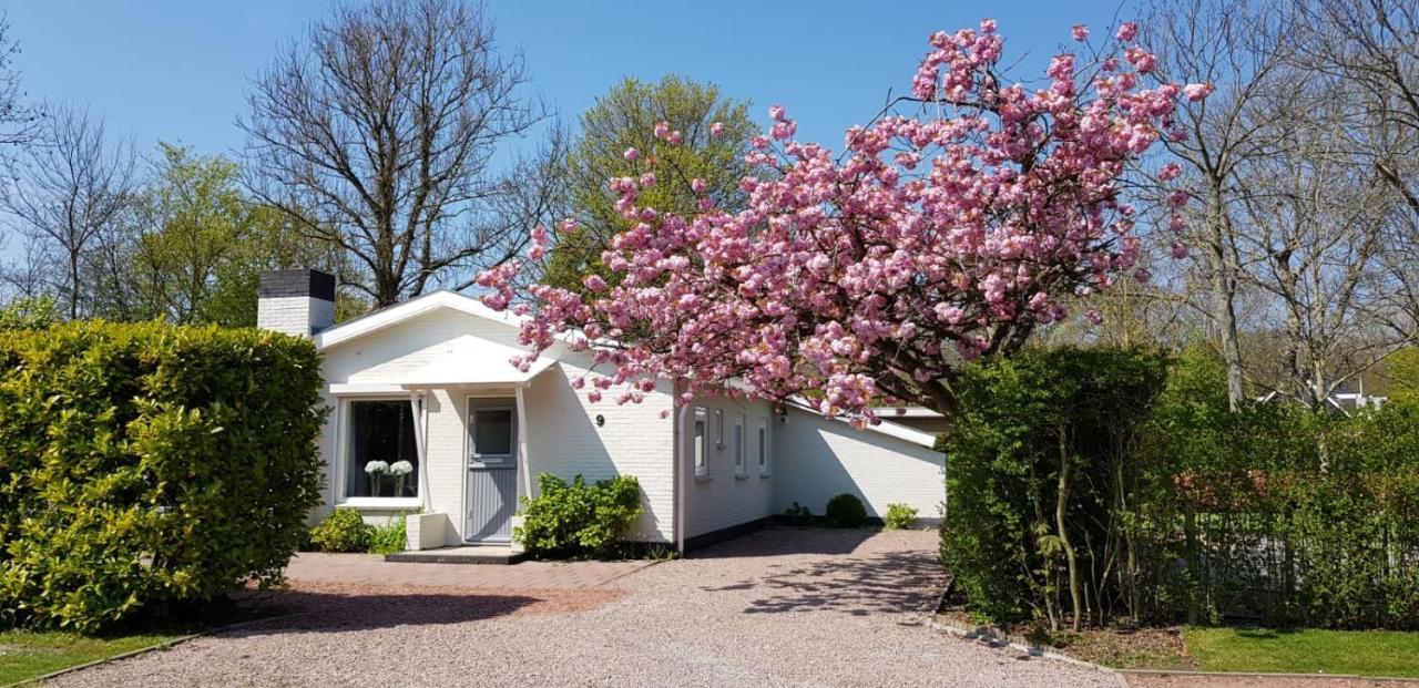 Holiday Park Dennenbos Oostkapelle Dış mekan fotoğraf